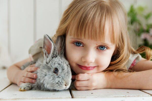 It is human nature to want to hold an animal that is furry, but rabbits have a delicate skeletal system and prefer to be loved with their four feet planted on a solid surface or in a lap. (Nastya Gepp/Pixabay)