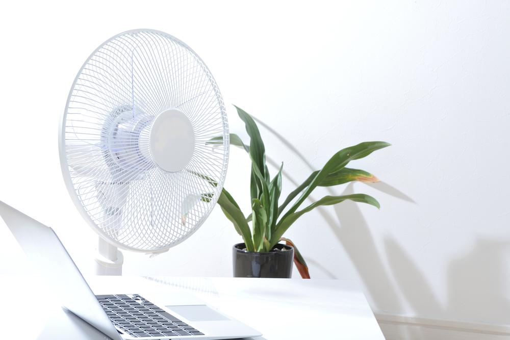 Fans increase general air circulation, preventing air from stagnating and accumulating unwanted heat. (beeboys/Shutterstock)