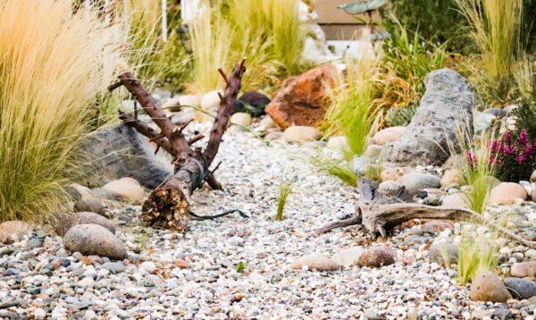 Xeriscape is an alternative way to create a wonderful yard that requires little watering, and maintenance. (Iztel Perez)