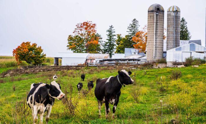 A Message to President Biden: Please Keep the Chinese Regime Away From American Farmland