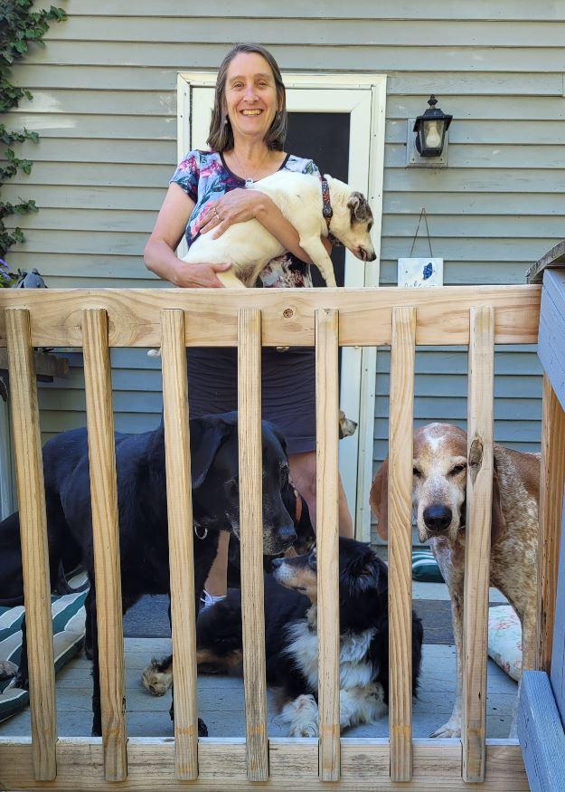 Laurie Dorr takes in elderly dogs and gives them a home. (Peter Falkenberg Brown)