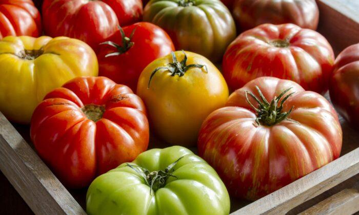 Make the Most of Tomato Season With These Recipes