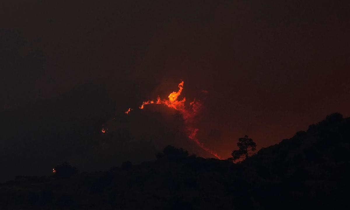 Cyprus: 4 Found Dead in ‘Most Destructive’ Forest Blaze