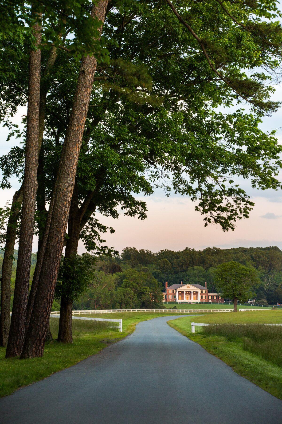 The approach to the grounds of the Montpelier historical property. (Courtesy of Montpelier Foundation)