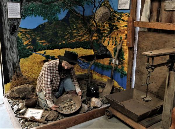 The figure of a gold-miner at the Coarsegold Historic Museum in Madera County, Calif., demonstrates how to pan for gold. (Victor Block)