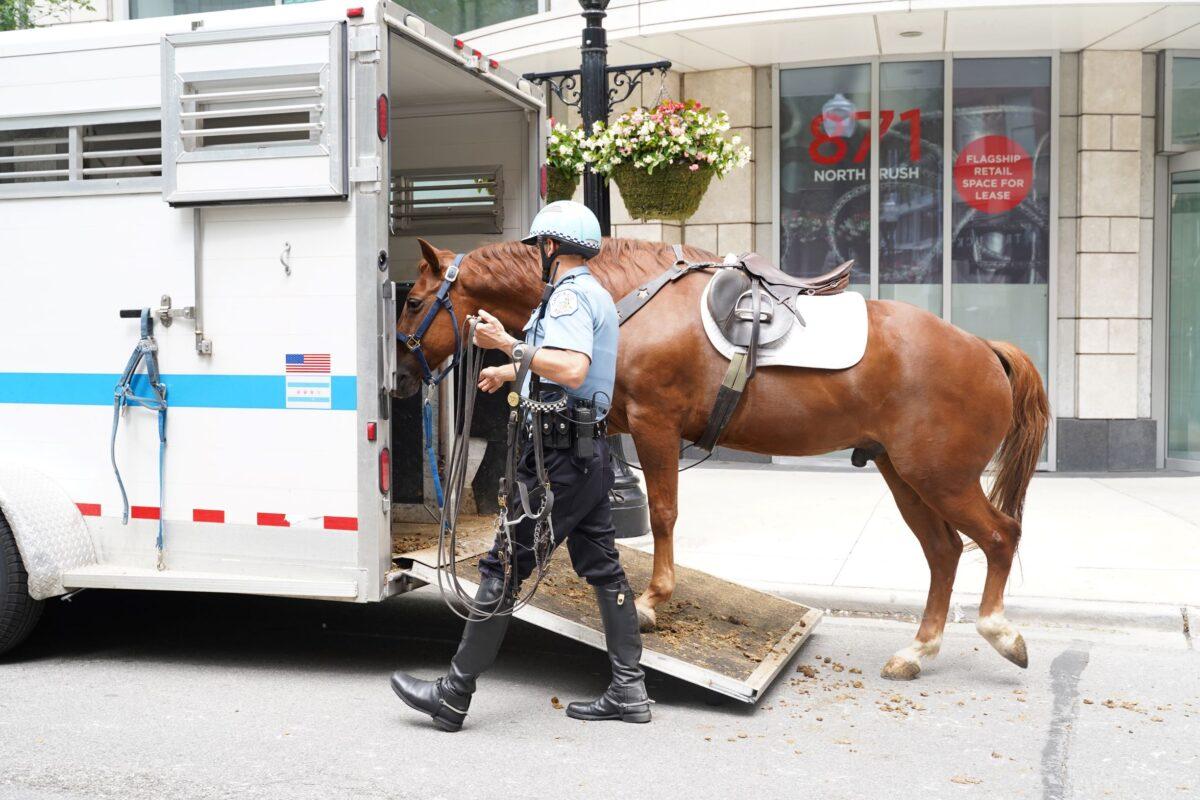 A Chicago police officer with the Mounted Patrol Unit leads a horse into a police van in the Gold Coast neighborhood on June 21, 2021. (Cara Ding/The Epoch Times)