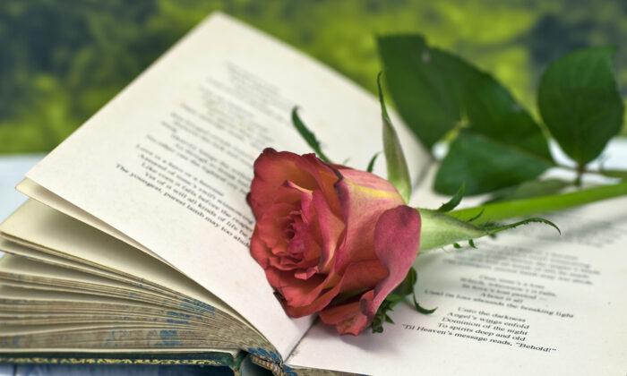 What Good Is Poetry? Robert Burns’s Immortal ‘A Red, Red Rose’