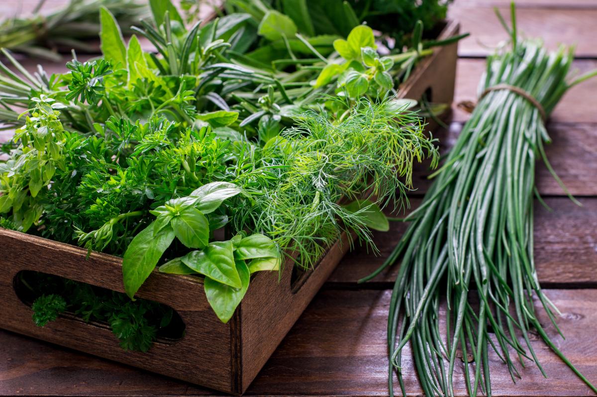Summer Vacation Is Almost Here, and It’s Time for Fresh Garden Herbs