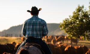 The Hard Things Men Still Carry