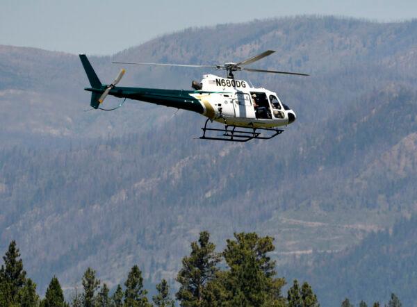 A helicopter from Montana Fish, Wildlife and Parks flies around the Ovando, Mont., area on July 6, 2201, in search of a bear that killed a camper early that morning. (Tom Bauer/The Missoulian via AP)