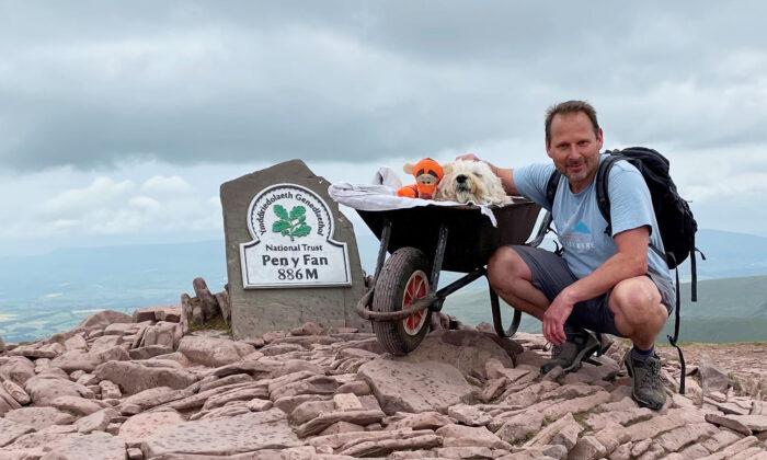 Man Takes His Dying Labradoodle Up His Favorite Mountain for One Last Walk in a Wheelbarrow
