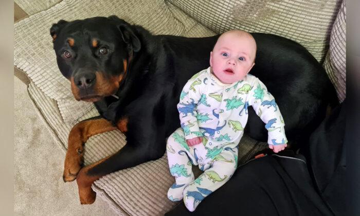 Mom Says Her Little Baby Son and Big Rottweiler Have the Cutest, ‘Paw’-Fect Bond