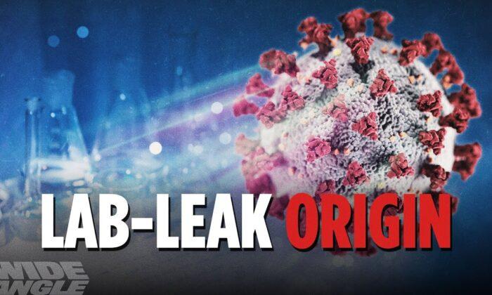 Virus Origin Investigation Blocked by US Elites? Politicians, Experts, Media Back China Over US