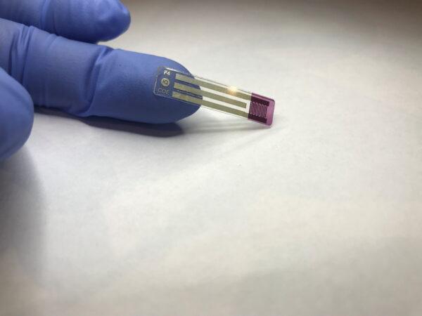 A non-invasive, printable saliva test strip for diabetics is seen at the University of Newcastle in Newcastle, New South Wales, Australia, in this undated recent picture obtained by Reuters on July 12, 2021. (Courtesy of University of Newcastle/Handout via Reuters)