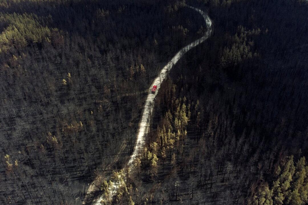 Planes Dump Water on Siberian Wildfires as Residents Plead for Help
