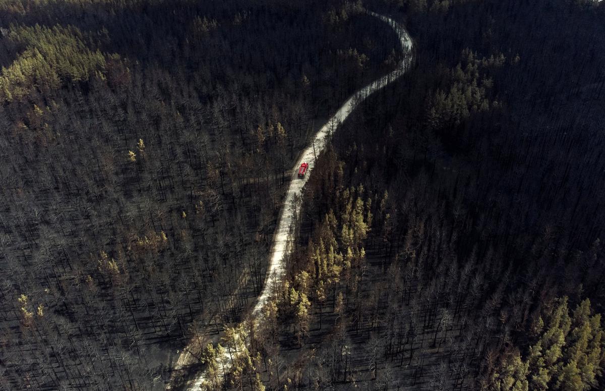 Planes Dump Water on Siberian Wildfires as Residents Plead for Help
