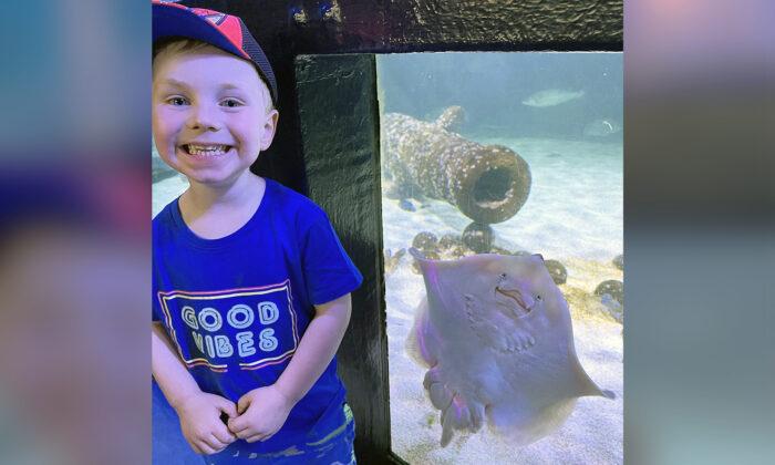A ‘Really Happy’ Stingray Photobombs 3-Year-Old Boy During a Trip to the Zoo