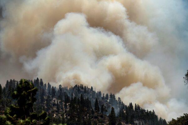 Smoke rises from the Dixie Fire burning along Highway 70 in Plumas National Forest, Calif., on July 16, 2021. (Noah Berger/AP Photo)