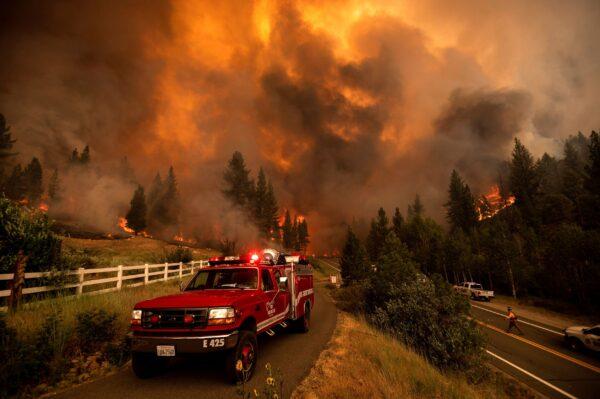 Firefighters battle the Tamarack Fire in the Markleeville community of Alpine County, Calif., on July 17, 2021. (Noah Berger/AP Photo)