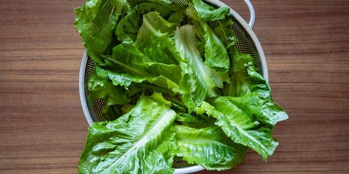 Recall on Packaged Lettuce Sold in Walmart, on Salmonella Concerns