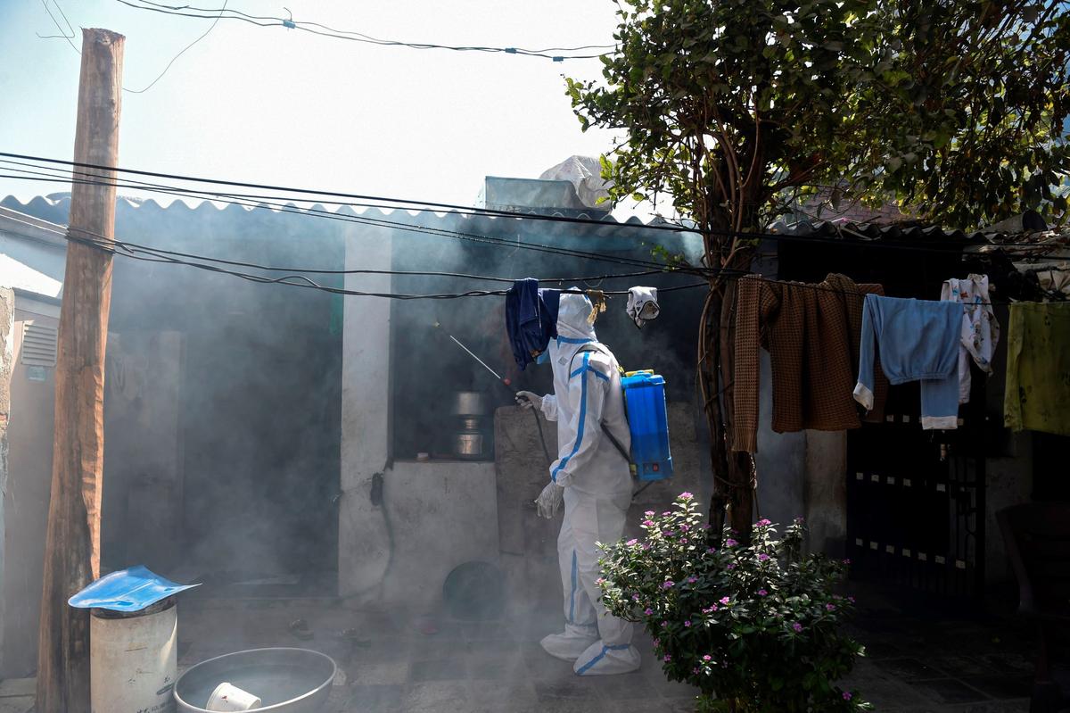 India Reports First Human Death From Bird Flu