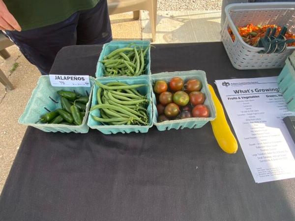 Shown is produce made available from the Auburn (Illinois) Community Garden for a Produce in the Park event on a Thursday afternoon in July. (Tamara Browning)