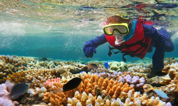$1 Billion Election Pledge to Protect Great Barrier Reef