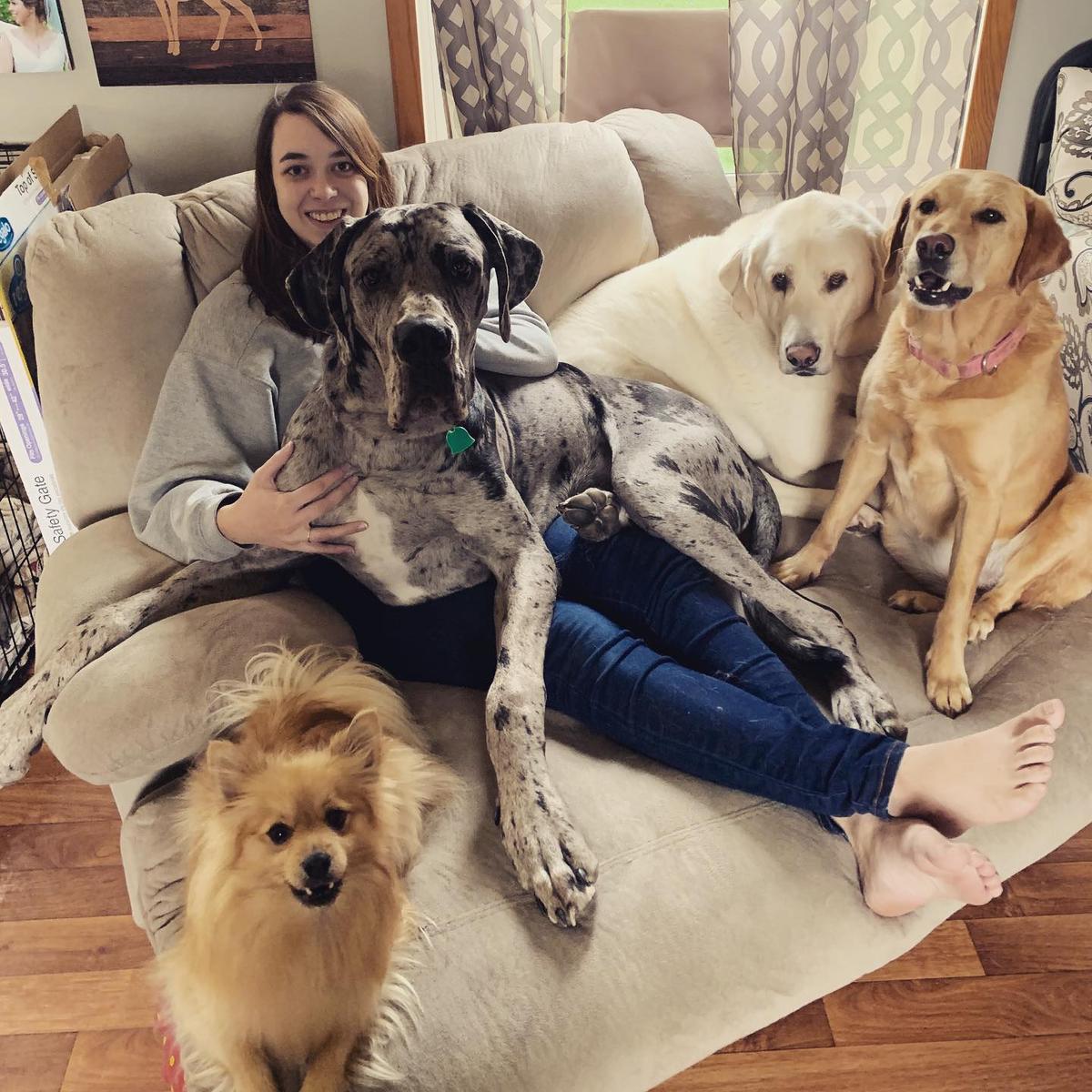 Ashlyn Mellstrom along with her four pets. (Courtesy of <a href="https://www.facebook.com/ashlyn.kartes.3">Ashlyn Mellstrom</a>)