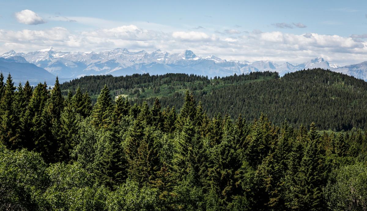 BC Search and Rescue Team Find Hiker in His 70s After 4 Days Alone