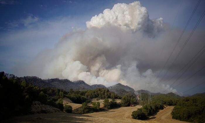 Wildfire Burns in Northeast Spain, Summer Camp Evacuated