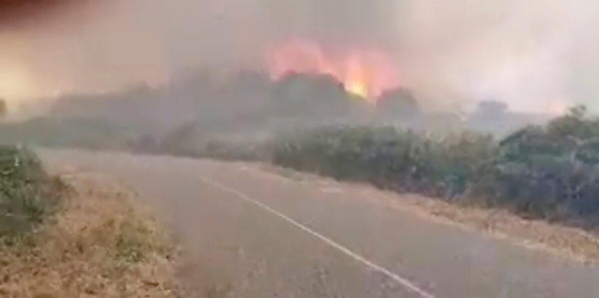 Smoke billows from a wildfire near Cuglieri, Sardinia, Italy July 25, 2021, in this screen grab obtained from a social media video. (Cronache Nuoresi via Reuters)