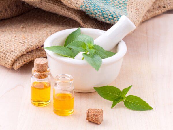 Herbs, like basil, are used in a variety of ways. From flavoring your favorite dish to adding fragrance to your favorite bar of soap, herbs are widely used in modern life. (Seksak Kerdkanno/Pixabay)
