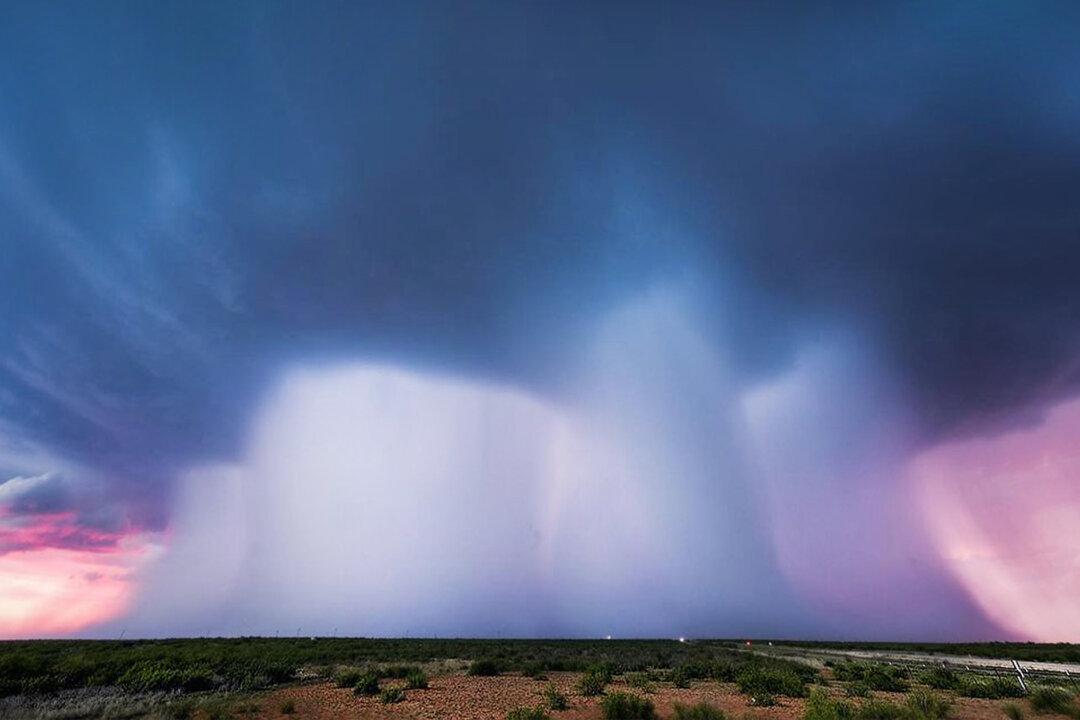Texas Storm Chaser Captures ‘Unreal’ Photos of ‘Quadruple Microburst’ Collapsing From the Sky