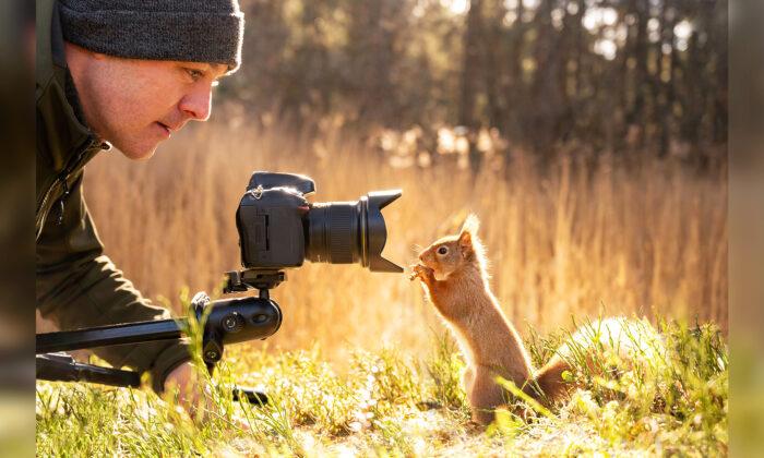 Curious Squirrels and a Tiny Bird Team Up to Investigate Photographer’s Camera