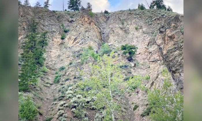 Can You Spot the Lost Dog Trapped on This Mountainous Cliffside in Idaho?