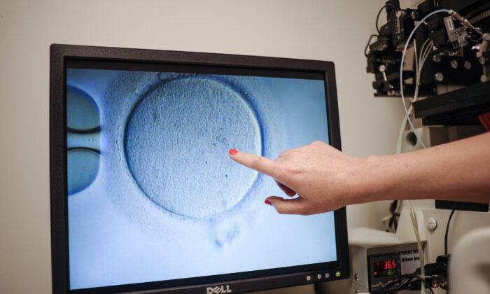 Alabama Supreme Court Declines to Revisit IVF Ruling