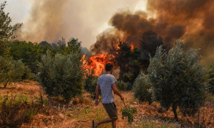 Turkey Evacuates Panicked Tourists by Boat From Wildfires