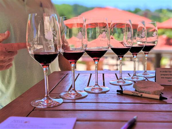 At Tablas Creek Vineyard in Paso Robles, Calif., guests enjoy tastings of Rhone-style wines. (Courtesy of Athena Lucero)