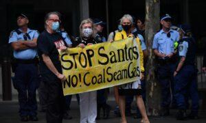 Researchers Blame Corporate Australia for Green Energy Setbacks
