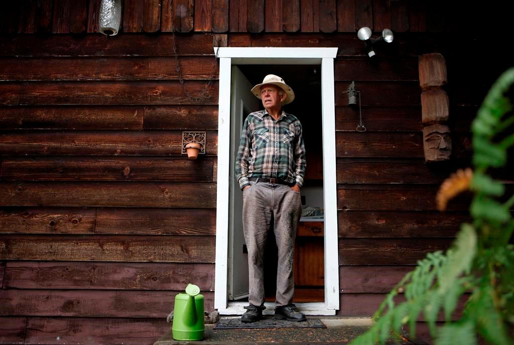B.C. Christmas Tree Growers Say Intense Heat Singes Prized Trees, Kills Seedlings