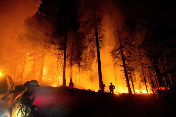 Firefighters monitor a firing operation, where crews set ground fire to stop a wildfire from spreading, while battling the Dixie Fire in Lassen National Forest, Calif., on July 26, 2021. (Noah Berger/AP Photo)