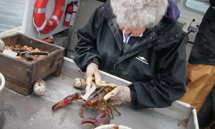 101-Year-Old Maine Woman Has Lobstered Since She Was 8—Claims She Will Retire ‘When I Die’