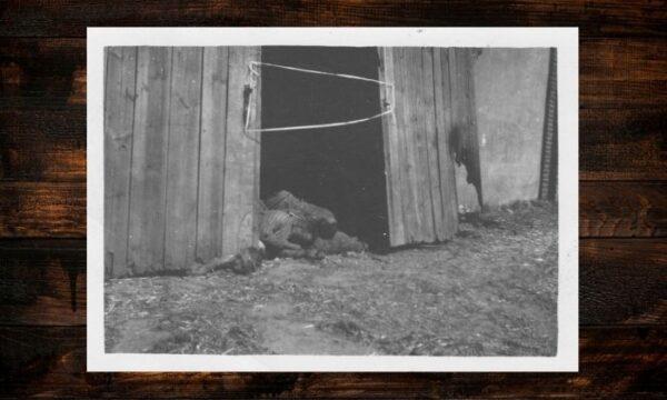 These photos show dead prisoners who had tried to escape the burning barn. A prisoner’s head sticks out from under the barn after trying to dig his way out of the burning building. (Courtesy of the Harry Albert Elias family)