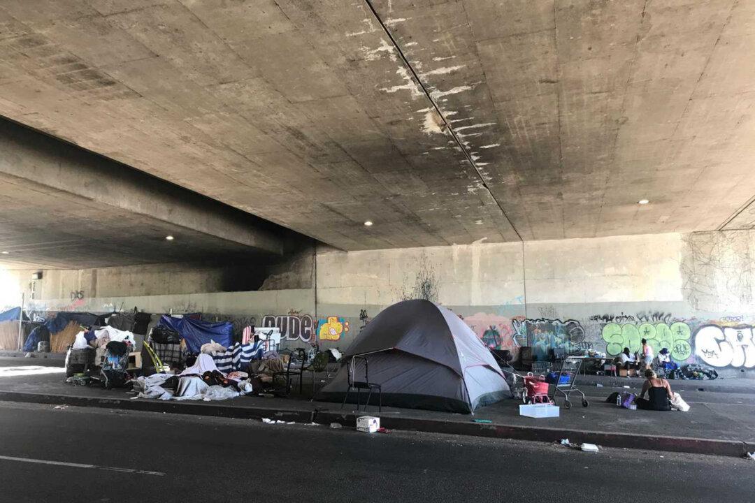 Woman Sues LA After Being Struck by a Car on a Street Where Tents Block the Sidewalk