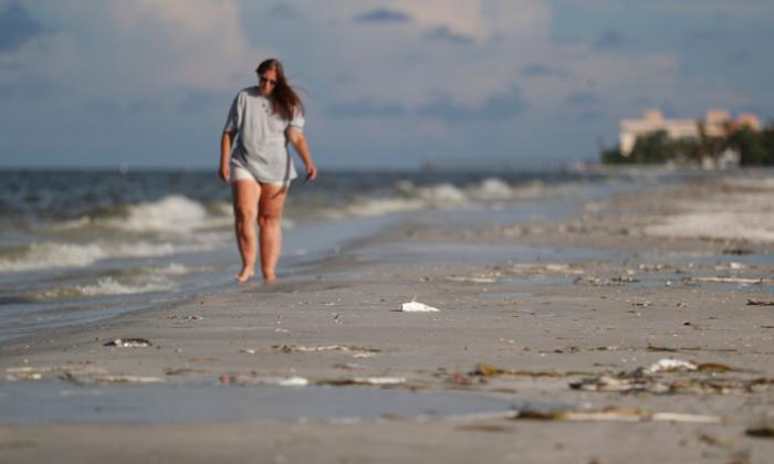 Florida’s Red Tide Ebbs Into Political Arena