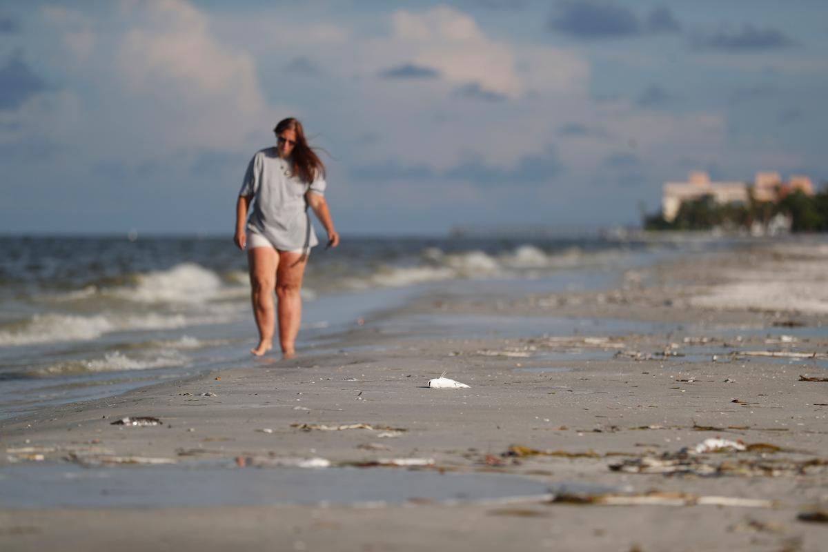 Florida’s Red Tide Ebbs Into Political Arena