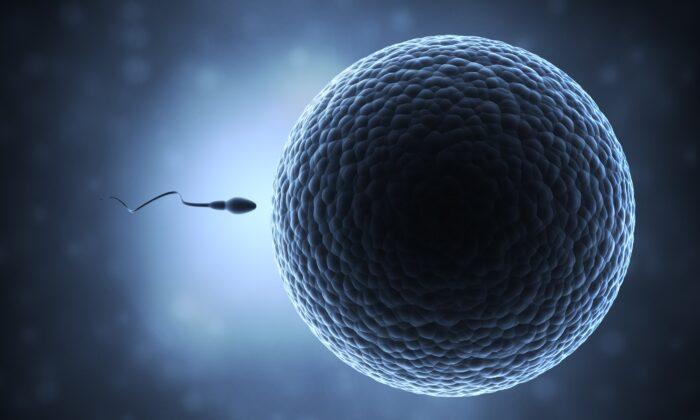 Sperm Count Among Men Has Dropped 60 Percent Globally Over Past 45 Years: Study