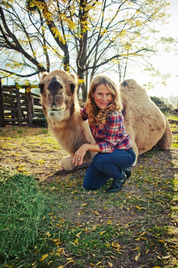 Christina Adams, author of Camel Crazy and camel milk expert, befriends a camel at Oasis Camel Dairy, California, United States. (Photo credit: Kristie Parker, photo courtesy of Christina Adams)