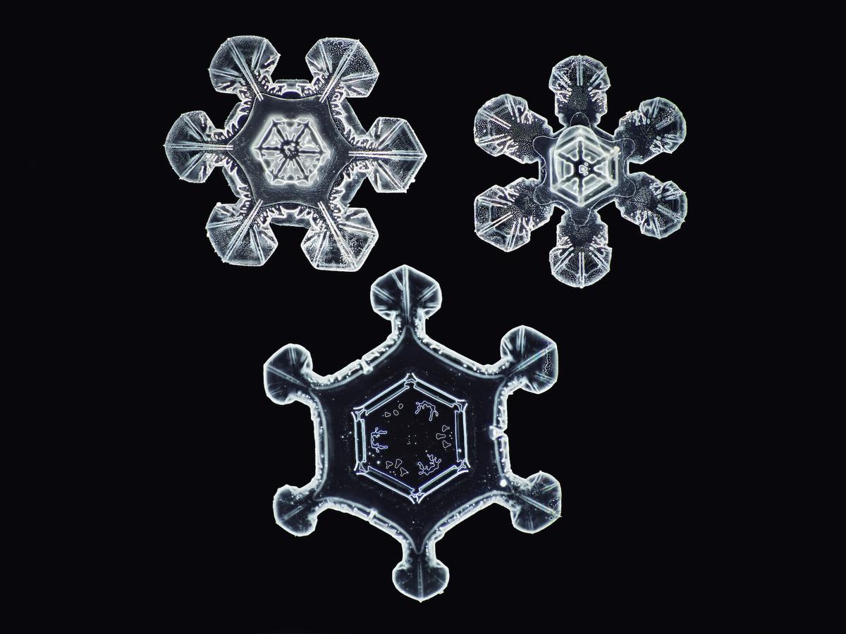 A macro photograph of snowflakes. (Nathan Myhrvold / <a href="https://modernistcuisinegallery.com/">Modernist Cuisine Gallery, LLC</a>)