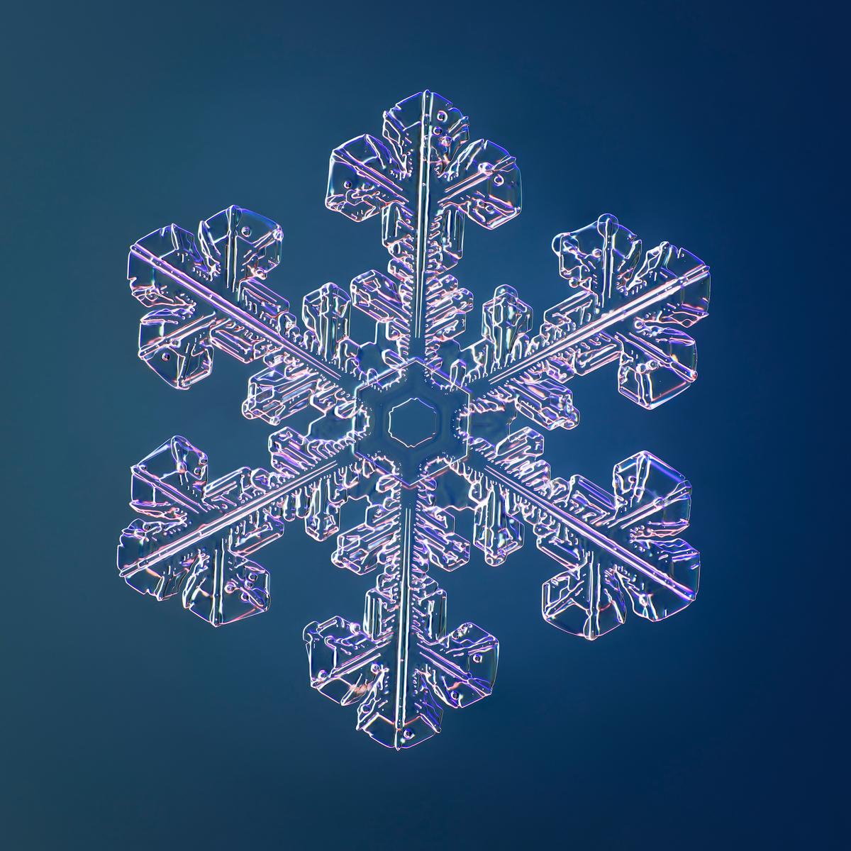 A snowflake photographed by Nathan Myhrvold. (Nathan Myhrvold / <a href="https://modernistcuisinegallery.com/">Modernist Cuisine Gallery, LLC</a>)